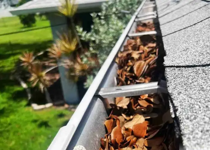 Tenafly gutter cleaning home page